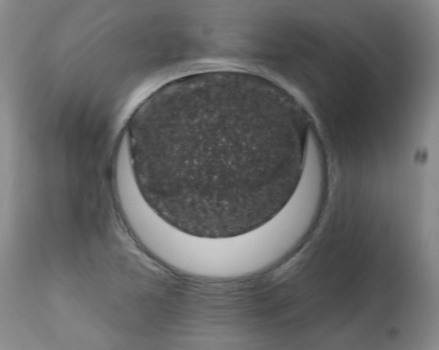 X0000113571365200910021620