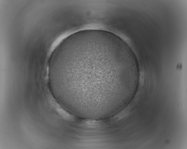 X0000113571366200910021620