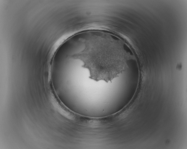 X0000113571371200910021619