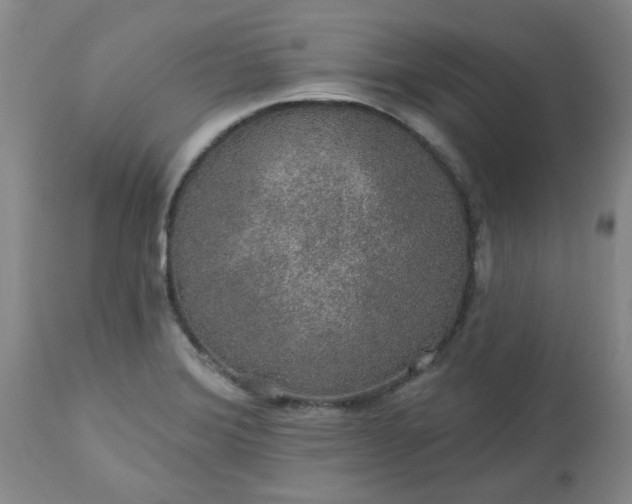 X0000113571372200910021619