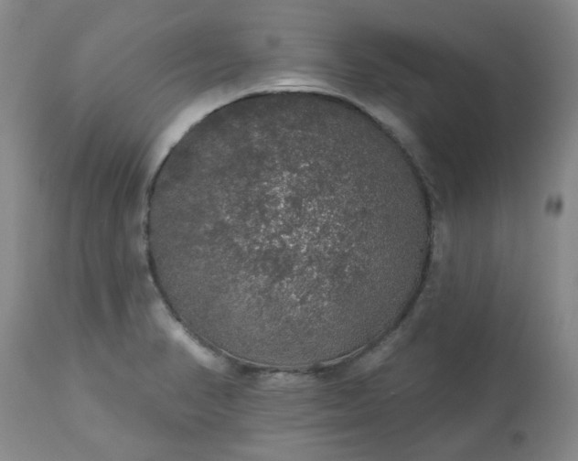 X0000113571374200910021619