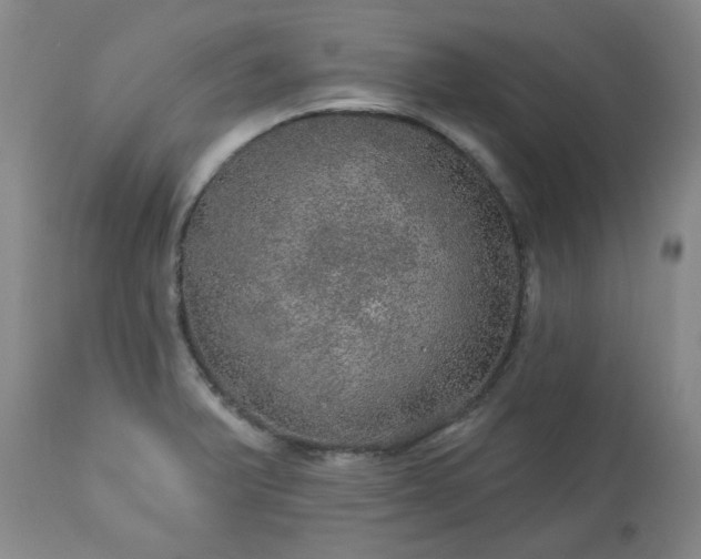 X0000113571375200910021619