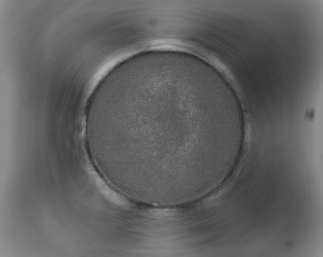 X0000113571376200910021619