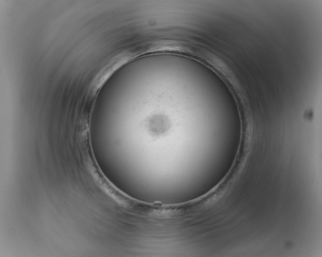 X0000113571377200910021619