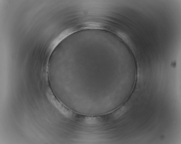 X0000113571378200910021619