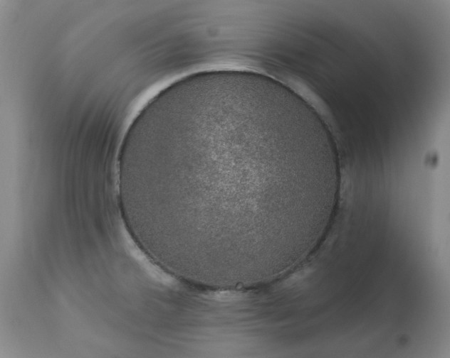 X0000113571380200910021619