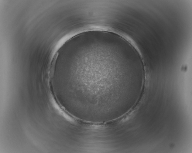 X0000113571381200910021619