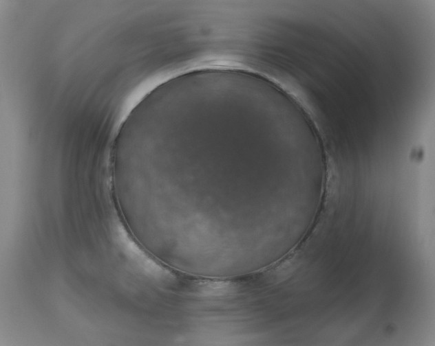 X0000113571382200910021619