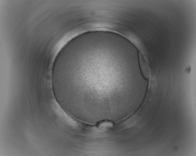 X0000113571384200910021619