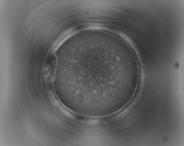X0000113571385200910021619