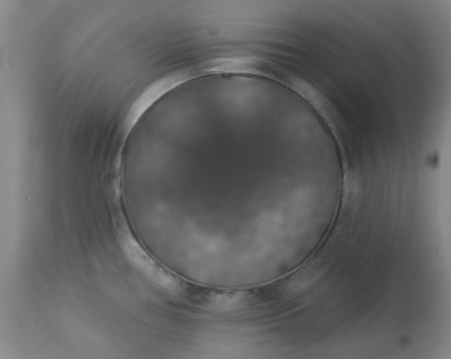 X0000113571386200910021619