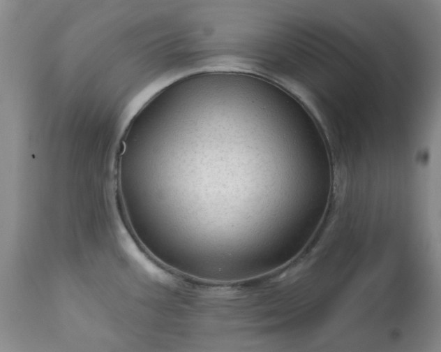 X0000113571387200910021619