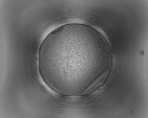 X0000113571391200910021619
