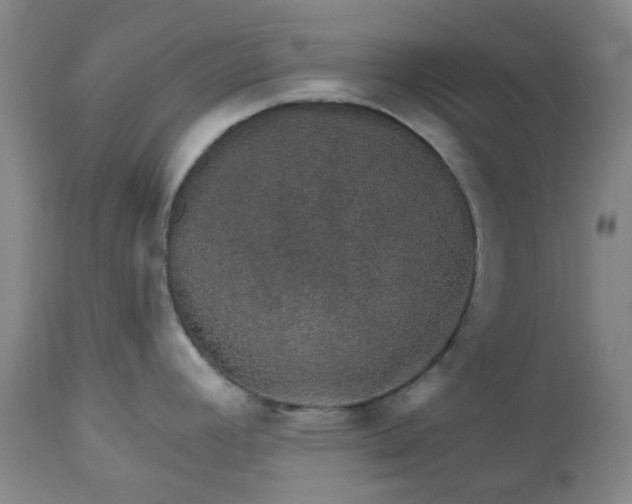 X0000113571392200910021619