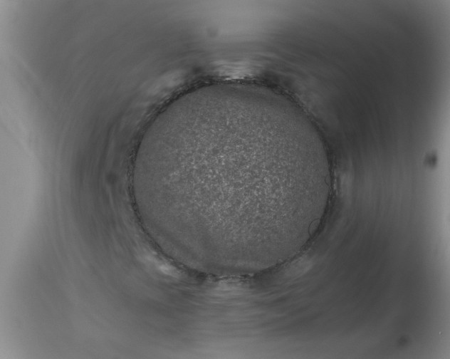 X0000113571393200910021618
