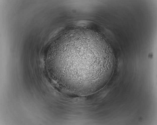 X0000113571394200910021618