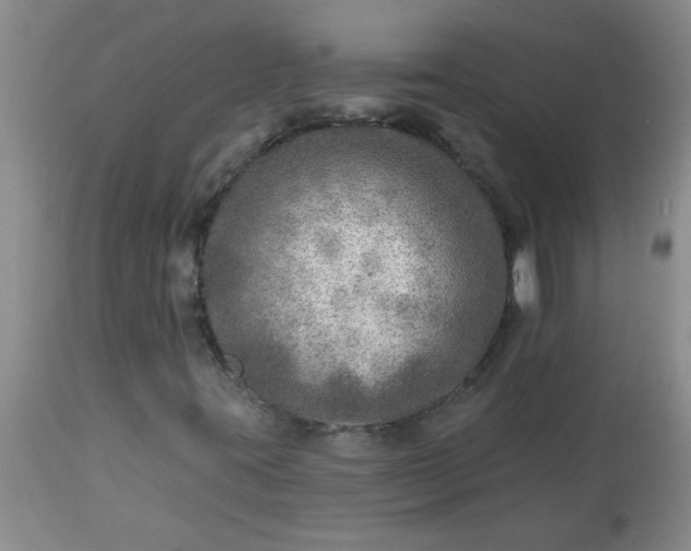X0000113571395200910021619