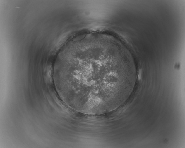 X0000113571396200910021619
