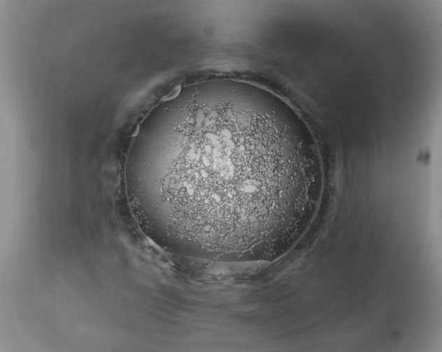 X0000113571398200910021619