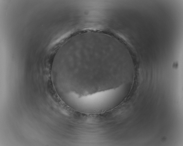 X0000113571399200910021619