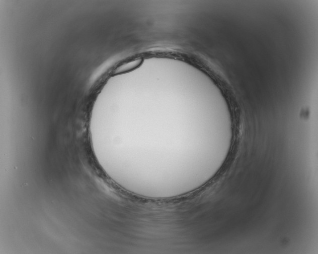 X0000113571400200910021619