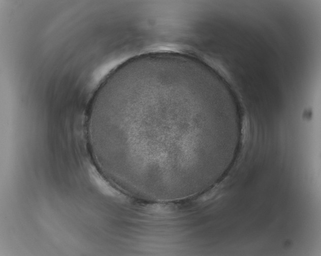 X0000113571404200910021619