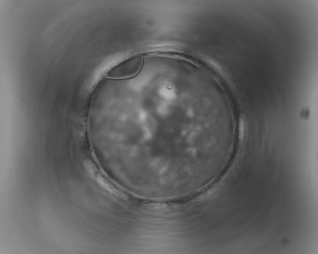 X0000113571405200910021619