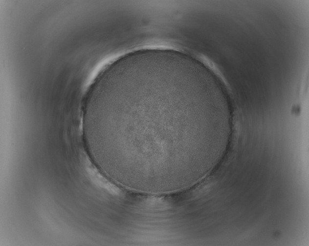 X0000113571408200910021619