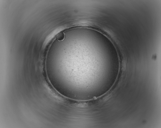 X0000113571410200910021619