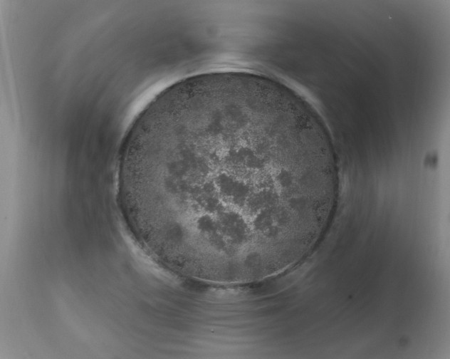 X0000113571415200910021619