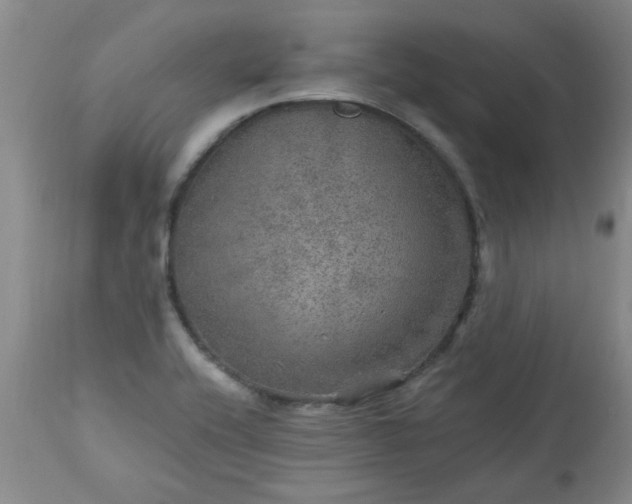 X0000113571416200910021619
