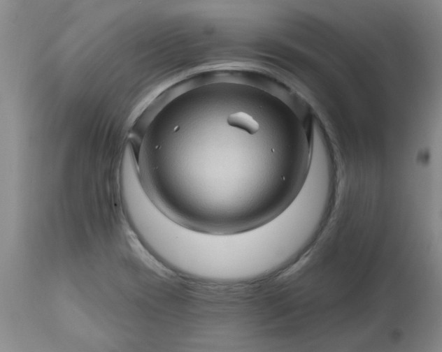 X0000113571417200910021619