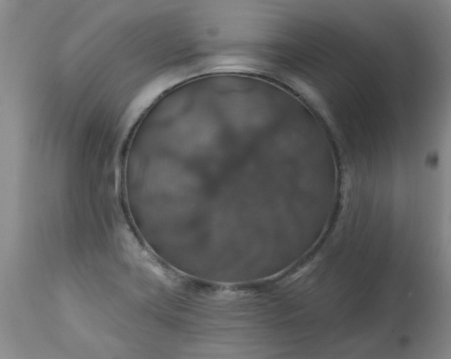 X0000113571419200910021619