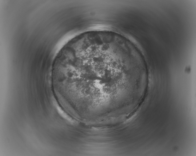 X0000113571421200910021619