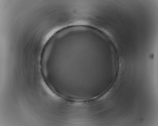 X0000113571422200910021619