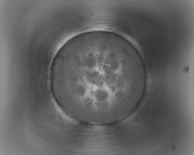 X0000113571423200910021619