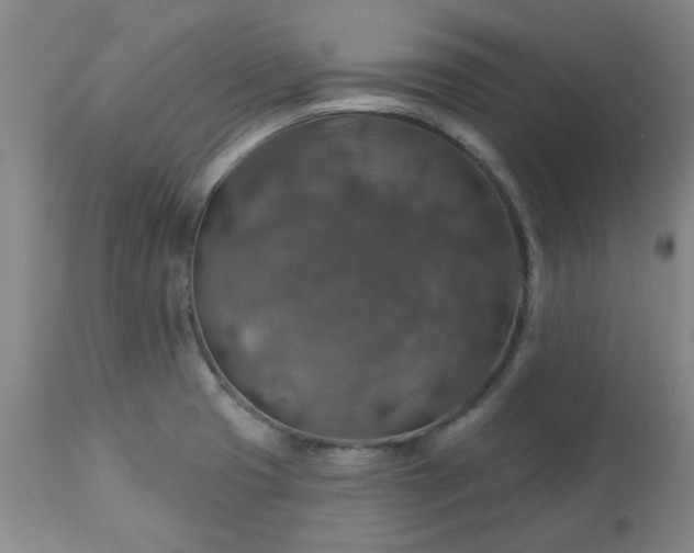 X0000113571425200910021619