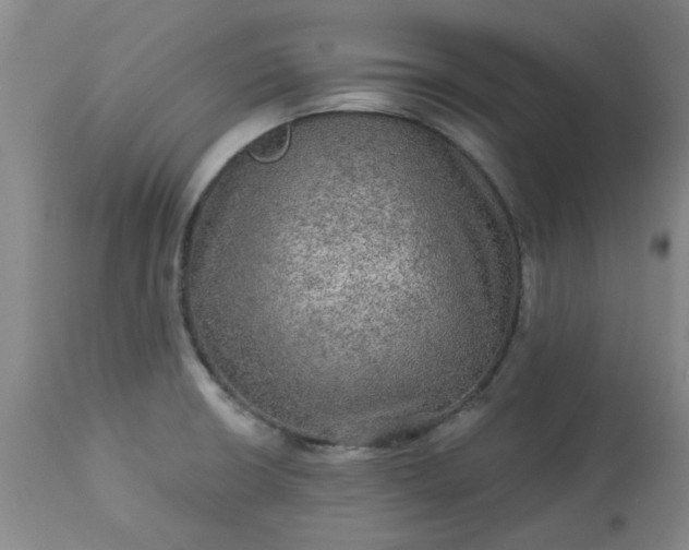 X0000113571426200910021619