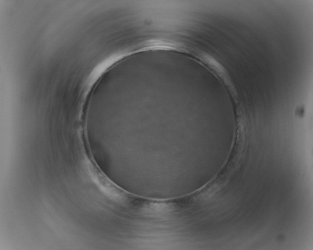X0000113571427200910021619