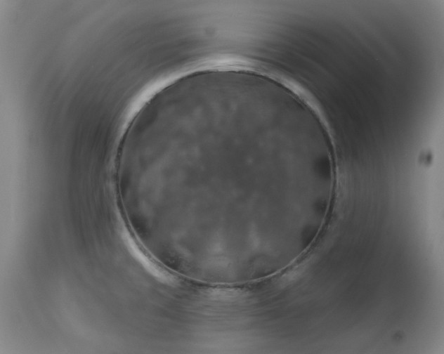 X0000113571429200910021619