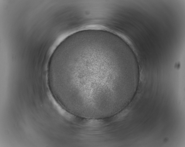 X0000113571430200910021619
