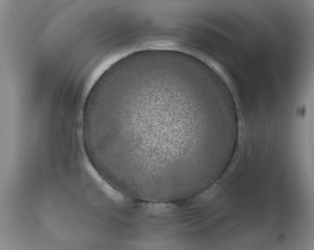 X0000113571432200910021619