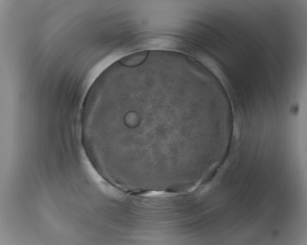 X0000113571434200910021619