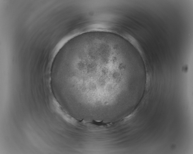 X0000113571435200910021619