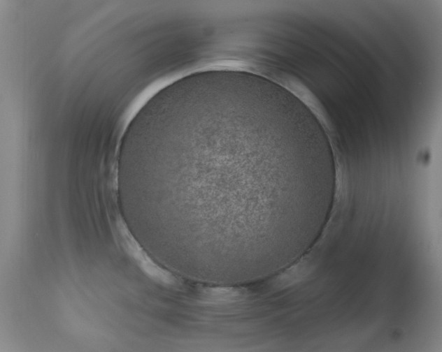 X0000113571436200910021619