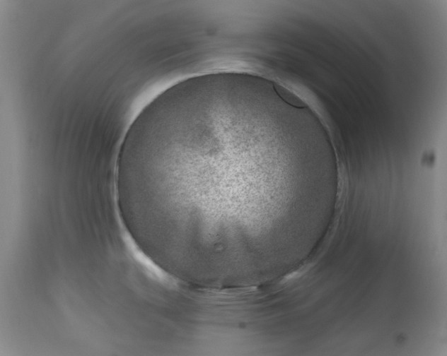 X0000113571439200910021619