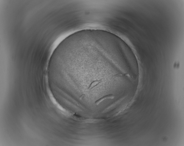 X0000113571440200910021619