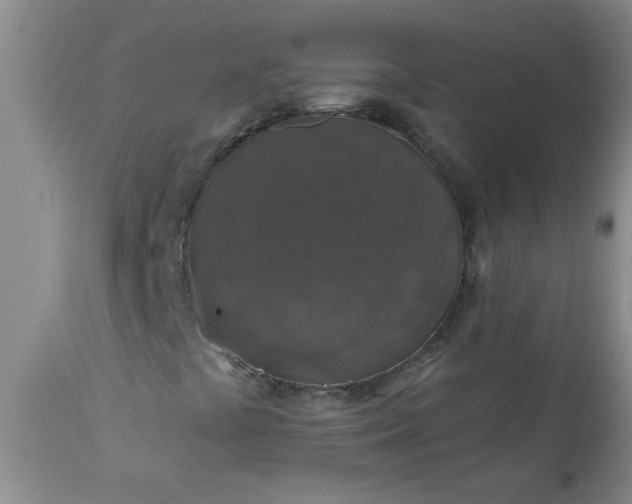 X0000113571441200910021618