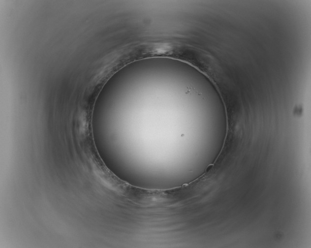 X0000113571442200910021618