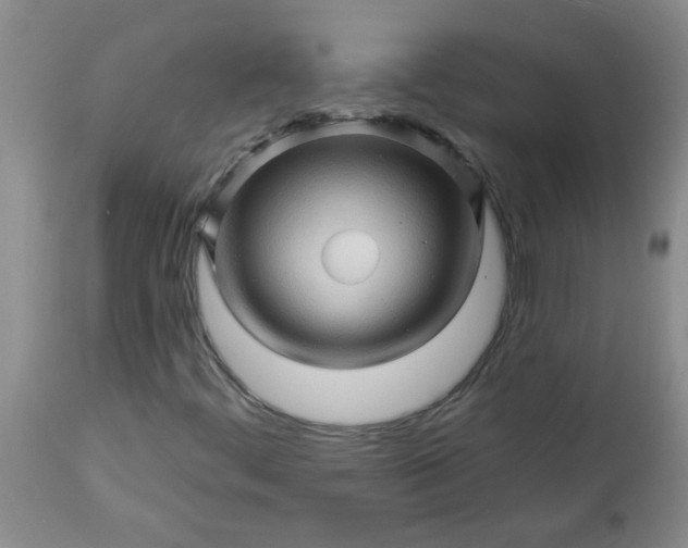 X0000113571444200910021618